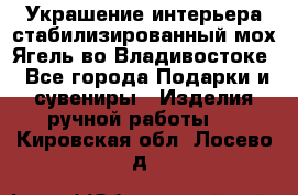 Украшение интерьера стабилизированный мох Ягель во Владивостоке - Все города Подарки и сувениры » Изделия ручной работы   . Кировская обл.,Лосево д.